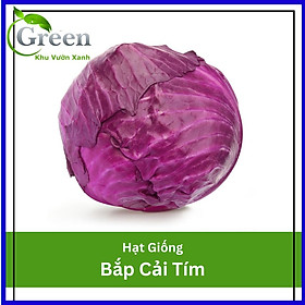 Mua Hạt Giống Bắp Cải Tím Lai F1 Xuất Xứ Nhật Bản