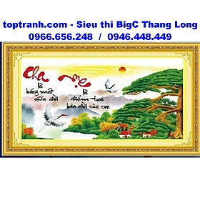 Mua Tranh thêu chữ thập chữ cha mẹ cây tùng hạc 222804 chưa thêu