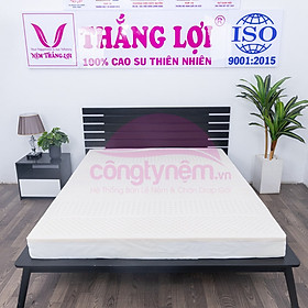 Mua Nệm cao su thiên nhiên TL Rosi massage