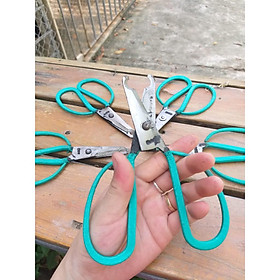 Mua Kéo Khoanh Vỏ Cành Cây - kéo nhỏ gọn