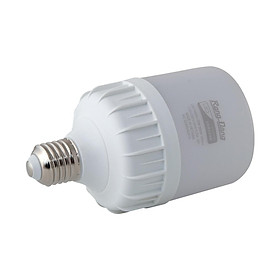 Mua Bóng đèn led bulb trụ 30W Rạng Đông  Model LED TR100N1/30W