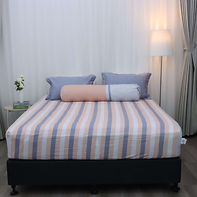 Bộ ga giường Everon Lite ELCP 204  Cotton (4 món) - 160x200cm