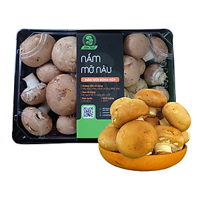NẤM MỠ NÂU