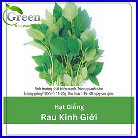 Mua Hạt Giống Rau Kinh Giới Dễ Trồng
