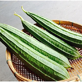 Mua Hạt giống mướp khía Rado  đóng gói 1gr (khoảng 10 hạt)