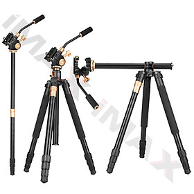 Mua Chân máy ảnh Beike Q1299 Video  Hàng chính hãng