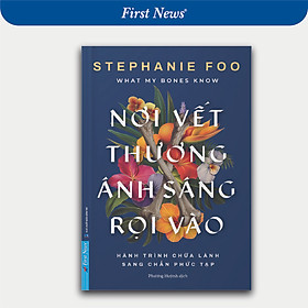 Sách Nơi Vết Thương Ánh Sáng Rọi Vào - First News