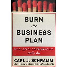 Sách self-help - Tiếng Anh: Burn the Business Plan