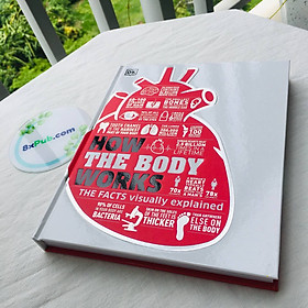 Hình ảnh sách DK Big Stuff Simply Explained: How The Body Works