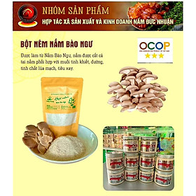 Bột Nêm Nấm Bào Ngư Thương Hiệu Giang Phong , Bột Nêm Chay Hữu Cơ