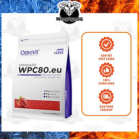 OSTROVIT WHEY CONCENTRATE Sữa Dinh Dưỡng Tăng Cơ Bắp Ostrovit Whey Protein Concentrate WPC80 2.27kg