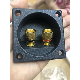 Mua Trạm loa đôi cầu nối loa (giá1 cái)