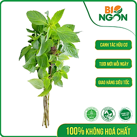 Chỉ Giao HCM - Húng Quế Hữu Cơ Gói 50g