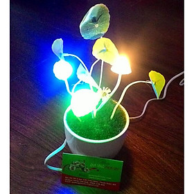 Mua Đèn Nấm Cảm Ứng Avata  đèn ngủ cảm ứng  đèn ngủ cắm tường  đèn ngủ cảm ứng ánh sáng  đèn ngủ giá rẻ