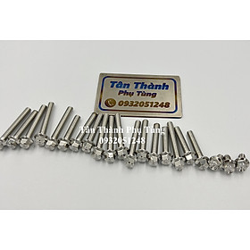 Bộ ốc lốc máy SALAYA đầu Thái dành cho Future Fi 125-21 con