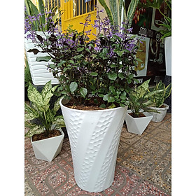 Bộ 4 Chậu Xoắn Giả Đá (30x20xH40cm) Thiết Kế Tinh Xảo, Bền Đẹp Thích Hợp Trồng Cây Cảnh, Cây Ăn Quả, Chất Liệu Nhựa ABS Cao Cấp - Hàng VNXK Châu ÂU