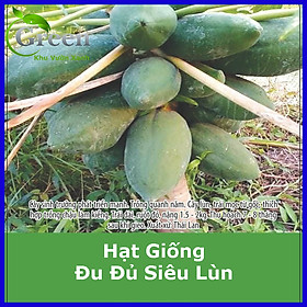 Hạt Giống Đu Đủ Siêu Lùn Thái Lan (20H)