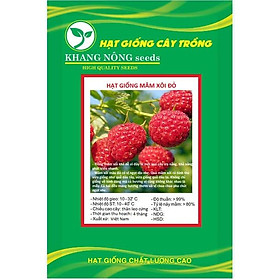 Mua Hạt giống quả mâm xôi đỏ (Phúc bồn tử đỏ ) KNS3449 - Gói 30 hạt