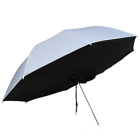 Mua Ô Softbox