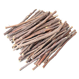 1kg Hamster   Chew  Guinea  Squirrels Rodent Animals