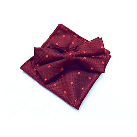 Combo nơ đeo cổ và khăn cài túi áo vest