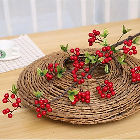 Mua CÀNH CỔ CHERRY cắm mộc lan