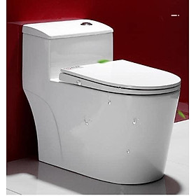 Mua BỒN CẦU LIỀN KHỐI  R99
