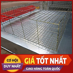 LỒNG NUÔI CHIM CÚT-CHUỒNG NUÔI CHIM CÚT CÔNG NGHIỆP-LỒNG NUÔI CÚT ĐẺ CÔNG NGHIỆP