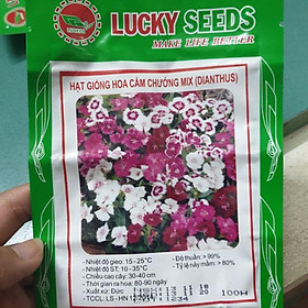 Mua Hạt giống hoa cẩm chướng trộn màu