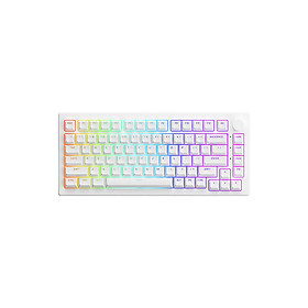 Bàn phím cơ AKKO 5075B Plus White Multi-modes  RGB  Gasket mount - Hàng Chính Hãng - Cream Blue Pro