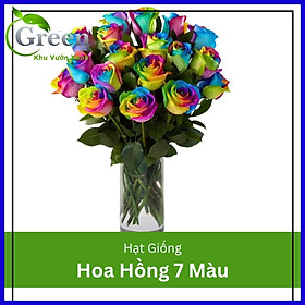 Hình ảnh Hạt Giống Hoa Hồng 7 Màu (20H)