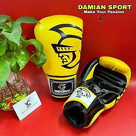 Găng Tay Boxing Pretorian BG-PR-Y12 (Size