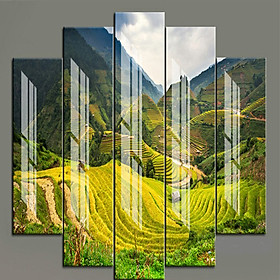 Bộ 5 - Tranh treo tường - Trang trí phòng khách/Ruộng bậc thang 3D/Gỗ MDF Hàn Quốc/Chống ẩm mốc, mối mọt T3M-NEW-236
