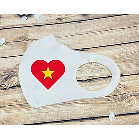 SET 2 Khẩu trang lá cờ Việt Nam vải su