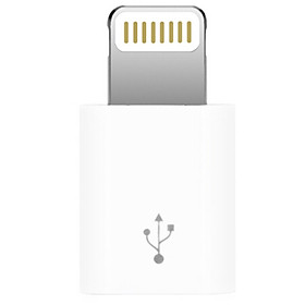 Jack Chuyển Đổi Lightning/Micro USB Capshi