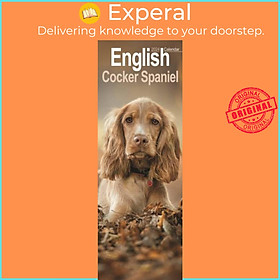 Sách - English Cocker Spaniel  Slim Calendar 2024  Dog Breed Slimline Calendar - 12 Month by  (UK edition, paperback)