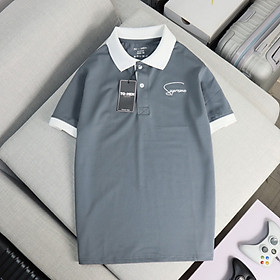 Áo thun polo nam đẹp cổ trụ bẻ, phối màu đơn giản, sang trọng, vải cá sấu cotton thoáng mát thêu chữ - MSAT02