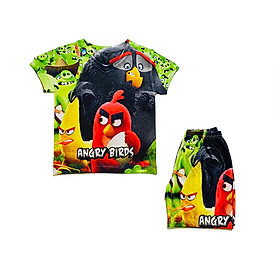 Đồ bộ thun có tay in 3d cho bé trai hình angry bird
