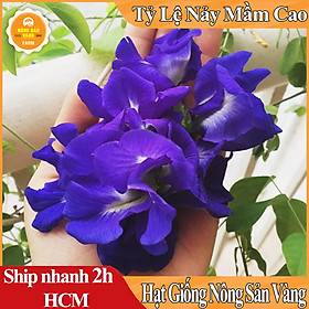Hạt giống Bông Biếc(Hoa Đậu Biếc) Rất Nhiều Công Dụng Tốt Cho Sức Khỏe (Gói 20 Hạt) - Nông Sản Vàng