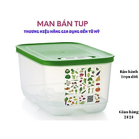 Hộp bảo quản thực phẩm vent hô hấp- nữ hoàng trữ mát size 4.4L, chuyên dùng lưu trữ các loại rau củ quả tươi