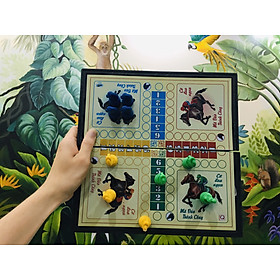 Bộ Cờ Cá Ngựa Nam châm Hộp Nhựa, Mặt bàn Kim Loại Chắc Chắn Nhiều kích thước