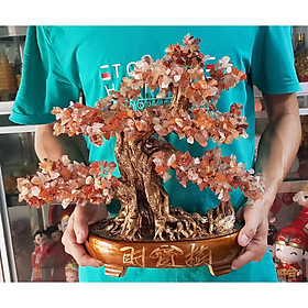Cây Tài Lộc đá mã não dáng bonsai màu đỏ cam size 40cm