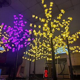 Mua Cây Mai Vàng Trang Trí Tết Siêu Đẹp Cao 1.2m Có Đèn Led Sáng