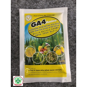 Mua Phân Vi Lượng GA4 Nhật AMINO