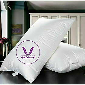 Mua Gối Hơi Nằm Thắng Lợi Size 50 x 70 x 10cm