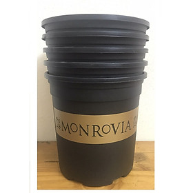 5 Chậu MONROVIA CH Garden 1.5Gal