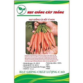 Hạt giống cà rốt ti hon ( cà rốt mini ) CT171 - Gói 0.1gram