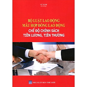 Sách Bộ Luật Lao Động Chính Sách Tiền Lương Tiền Thưởng Đối Với Công Chức Viên Chức và Người Lao Động
