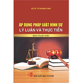 Áp Dụng Pháp Luật Hình Sự Lý Luận Và Thực Tiễn 