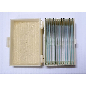 Mua Bộ 05 mẫu tiêu bản cho kính hiển vi